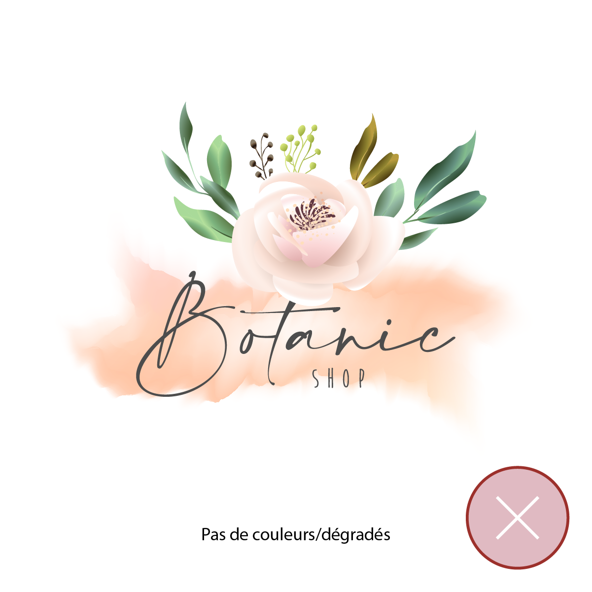 Exemple fichier couleur incorrect