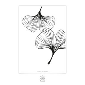 Affiche déco Gingko, minimaliste et monochrome pour créer un mur de cadre original